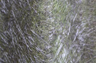 Aynho fibreglass roof work